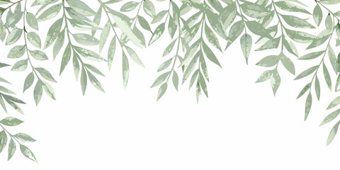 eucalyptus leaf border watercolor green botanical nature © Shabita