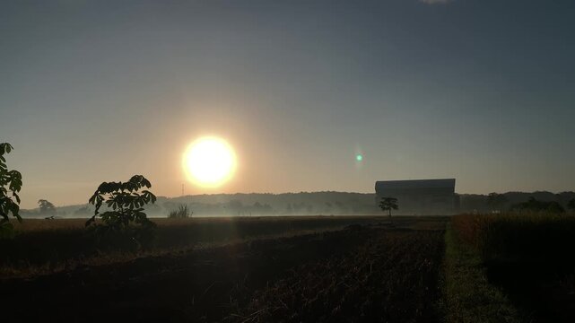A silhouette of farmers harvesting rice.