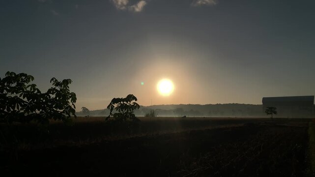 A silhouette of farmers harvesting rice.