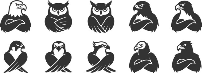 Obraz premium Eagle and owl icons with arms crossed in professional and stern poses set