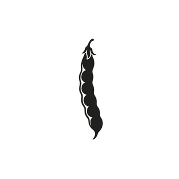 Dried Heirloom Bean Pod Silhouette