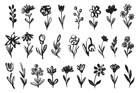 Hand drawn wildflower doodle set. Grunge botanical flowers and leaves with scribble brush sketch. Vector collection.