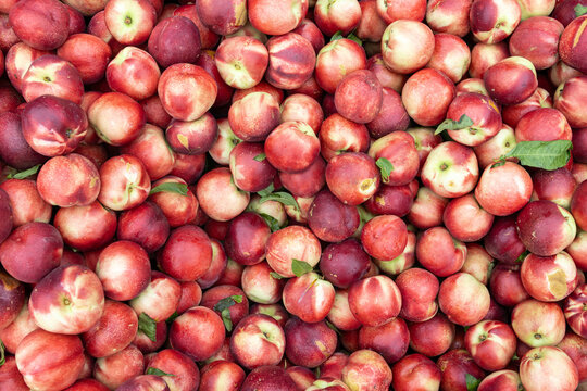 fresh organic nectarines background