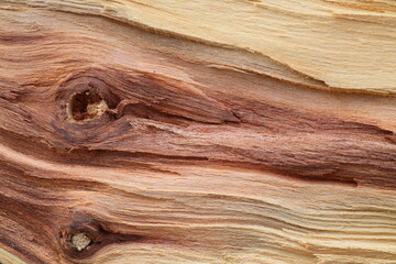 Natural Wood Grain with Knots Background © Тимур Нос