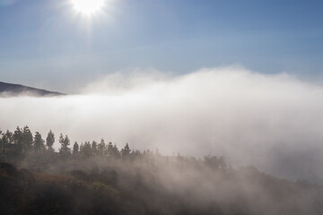 Naklejka premium Views of Teide National Park with volcanic terrain, mountain road, morning clouds and recovering forest in Tenerife, Canary Islands.