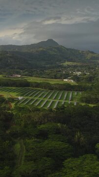 An aerial flyover vertical video of a solar farm in a lush rural green landscape near Koloa, Kauai, Hawaii