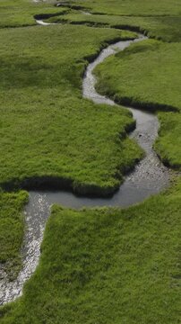 An aerial flyover vertical video of a stream running through marshland and meadows, Kamas, Utah