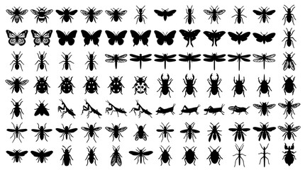 Garden Insect Silhouette Set with Flying and Crawling Species Black Vector Illustration © Md