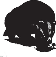 European Badger Sniffing Mushroom on Ground  © Tania