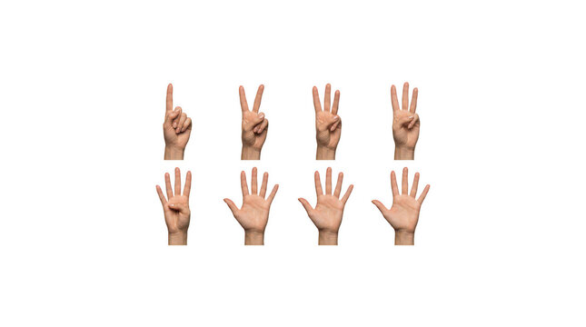 Eight hands displaying numbers on isolated transparent background