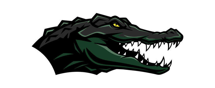 Cartoon alligator head with open mouth against black background