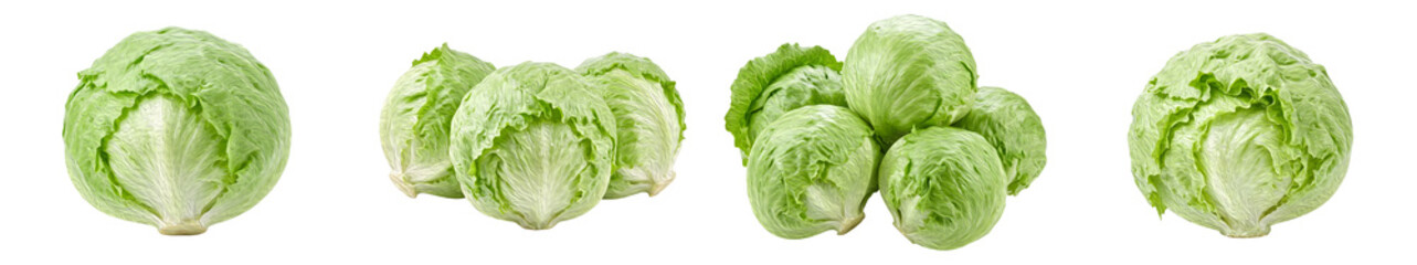 Fototapeta premium Set of Fresh Green Cabbage Heads and Brussels Sprouts Collections Isolated on White Background