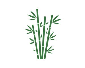 Obraz premium Green bamboo plant illustration with leaves