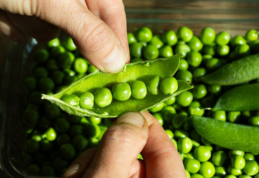 fresh green peas close up eco gardening