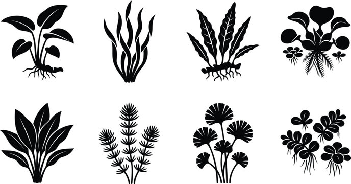 Set of black silhouette aquatic plants and water weeds