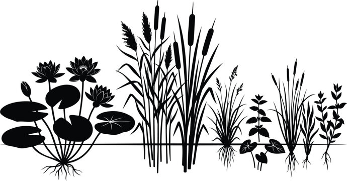 Black silhouette set of pond plants and water lilies