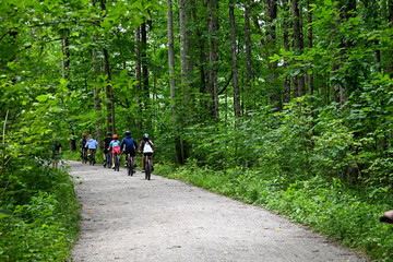 Fototapeta premium people in a single file line biking on a bike trail with green forest trees around