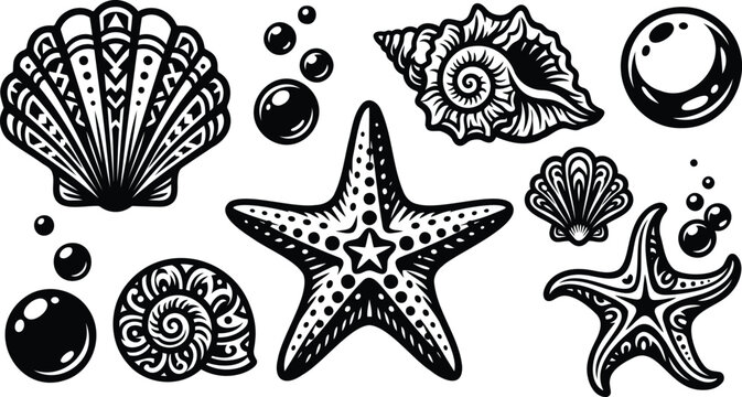 Black and white seashell and starfish set with bubbles