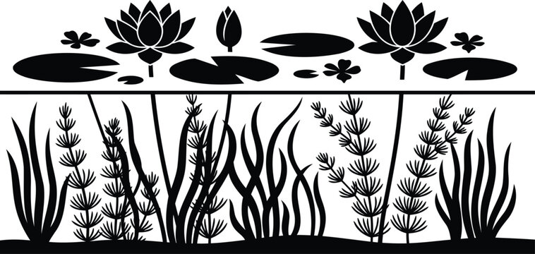 Black silhouette of lotus flowers and underwater pond plants