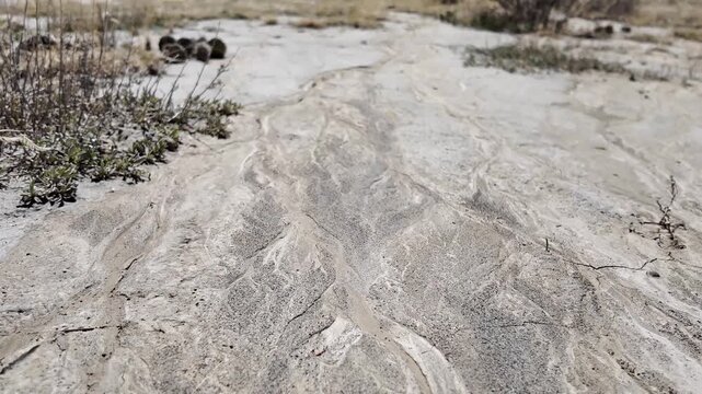 Dry ground in the Canadian foothills
