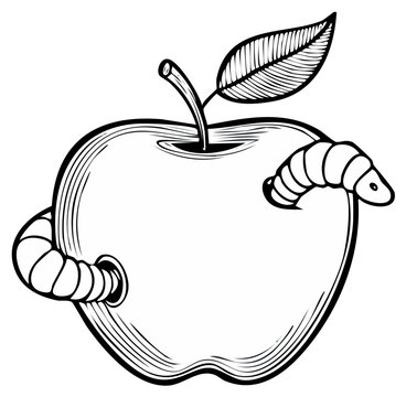 Engraved apple with worm illustration, fruit and insect concept