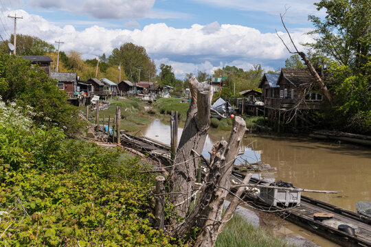 Canada, BC, Richmond.  Finn Slough, a much photographed, off-the-grid, residential community on a tidal tributary to the Fraser River.