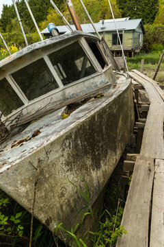 Canada, BC, Richmond.  Abandoned, derelict fishing boat in the marsh at riverside settlement of Finn Slough.  Fraser River Estuary.  20km south of Vancouver.