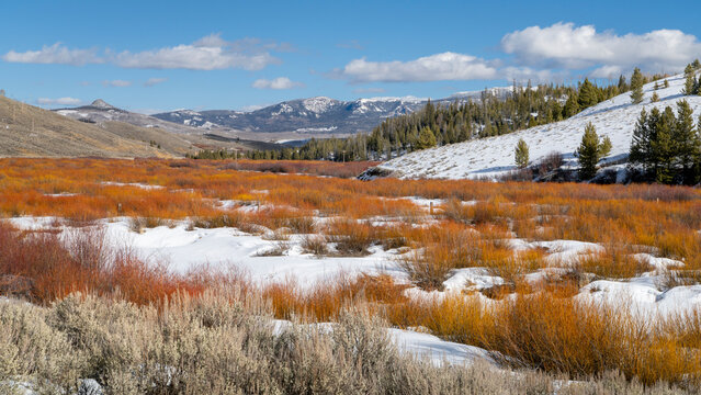 Winter scenery in Colorado Rocky Mountains near Cameron Pass