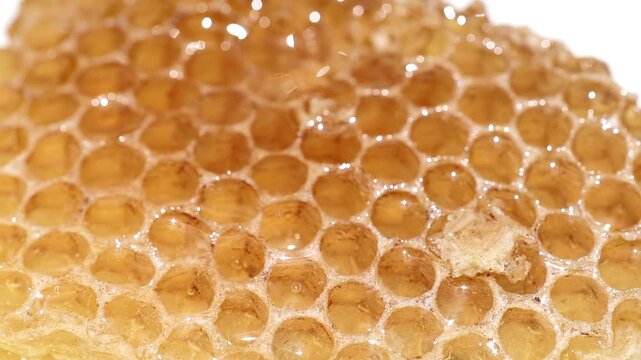 Extreme macro texture shot of empty yellow organic honeycomb cells pattern 180fps Captured in Cinematic High Detail Footage