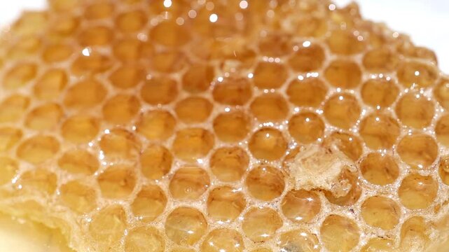 Extreme macro texture shot of empty yellow organic honeycomb cells pattern 180fps Captured in Cinematic High Detail Footage