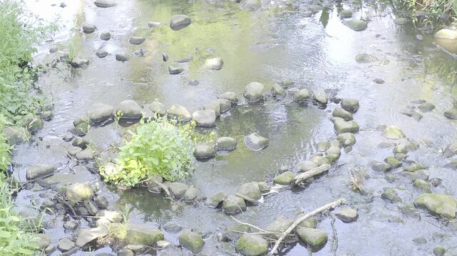 
serce w wodzie w pałacu w radziejowicach
"Heart in the Water" at the Radziejowice Palace