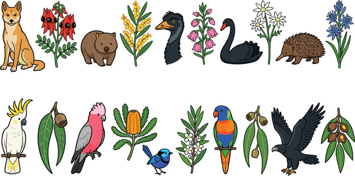 Australian Wildlife and Native Flora Vector Icon Set Featuring Dingo, Wombat, Emu, Cockatoo, Kangaroo Paw, Banksia, and Eucalyptus For Graphic Designs
