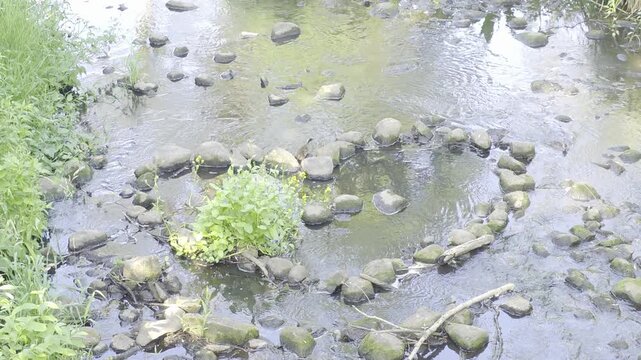 
serce w wodzie w pałacu w radziejowicach
"Heart in the Water" at the Radziejowice Palace