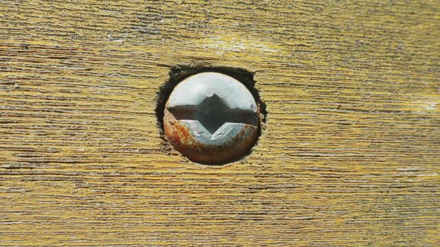 Macro of phillips head screw driven into weathered wood panel