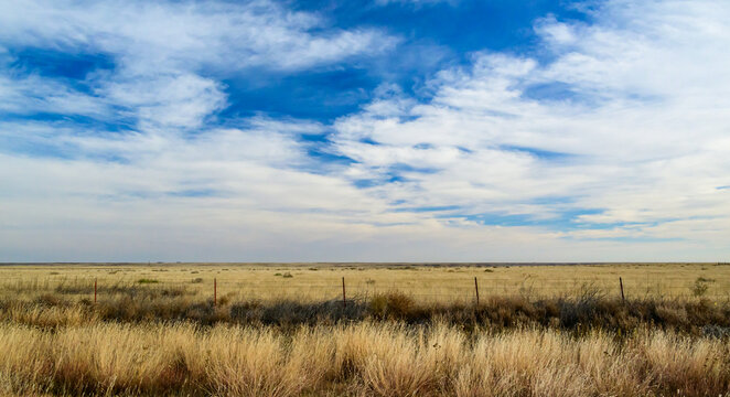 Arid grassland landscape characteristic of the Great Plains region of North America, Oklahoma, USA