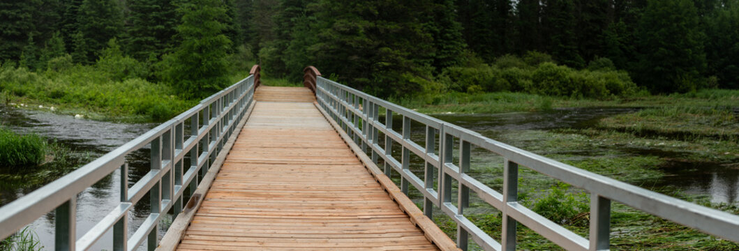 View across a wooden park bridge with metal railings as it crosses a small stream. The setting is a northern forest with evergreen trees. A pano view.
