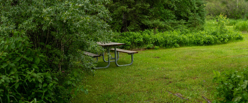 Park picnic table on green grass and surrounded by green shrubs and trees in a summer setting
