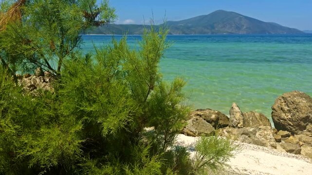 Coastal With Lush Green Trees Growing On Stony Shore Near Clear Turquoise Sea Water. Resort Vacation And Travel 