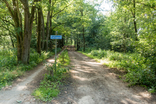 A typical Dutch forest road with a sign "fietspad" (translation: bicycle path) on the side