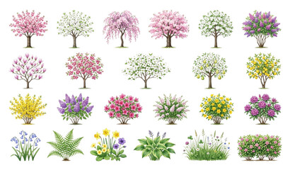 Botanical Watercolor Spring Trees and Forest Side View Flat Vector Elements Collection © MdNazrul