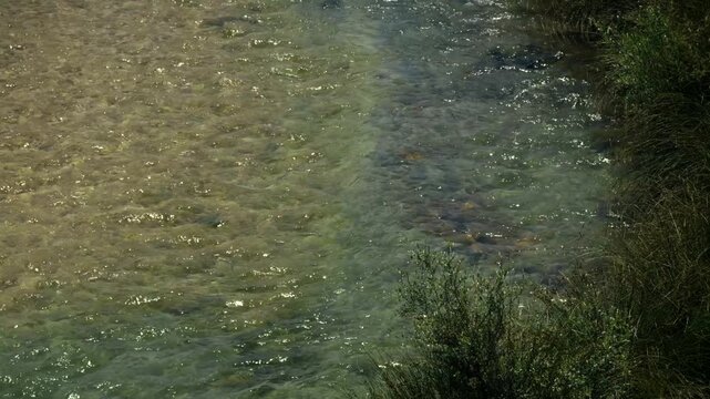 Clear Shallow Mountain Stream Water Flowing Over Rocky Riverbed. Natural Environment