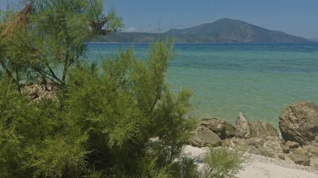 Green Coniferous Bushes On Rocky Shore Of Turquoise Sea. Mountain  On Sunny Day