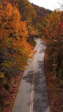 Empty scenic road winding through the Appalachian Mountains in North Carolina during peak autumn. Brilliant red, orange and golden forest surrounds the peaceful landscape.