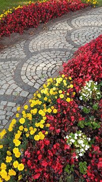 Cobblestone pavement design with fan pattern in public park. Urban landscaping, decorative paving and city infrastructure. Cobblestone path with red begonia and yellow marigold flowers, gardening.