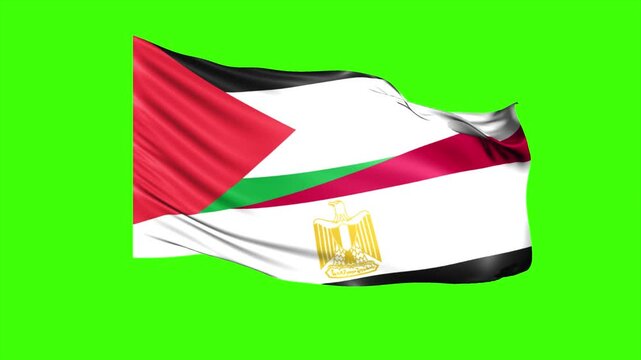 Animated Looping Super Wavy Flag of Egypt and Palestine Isolated on Green Screen