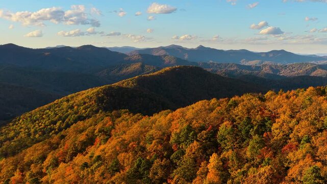 Panoramic view of colorful autumn mountain forest glowing at sunset. Vibrant seasonal foliage creates tranquil natural landscape with rolling hills.