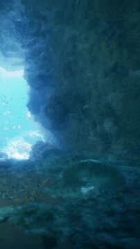 Light filters through a narrow opening in the underwater cave. Fish swim among rocks and coral. The scene shows a vibrant underwater world with shades of blue and green.