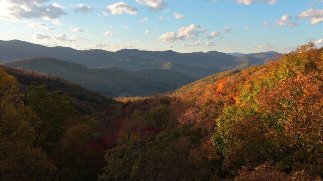Vibrant sunset in fall season forest on Appalachian mountain range. Golden treetops and colorful nature landscape.