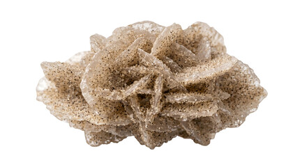 Obraz premium A beautiful desert rose crystal formation, resembling a delicate flower with intricate sandy petals. This natural wonder showcases the intricate beauty of mineralogy and geological processes