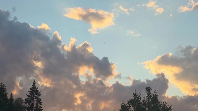 Clouds and sunset colors above the trees during late evening in a quiet location